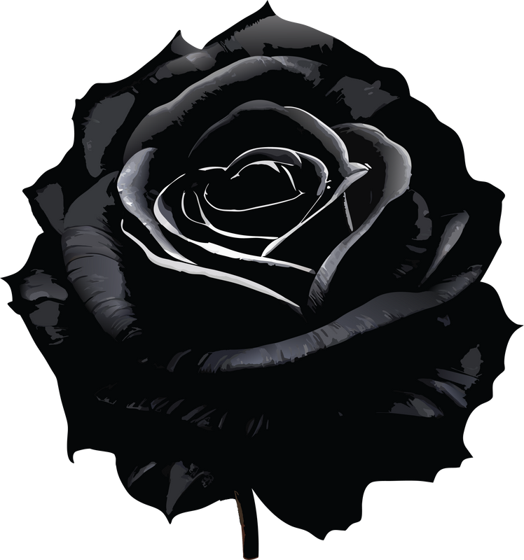 Watercolor black rose